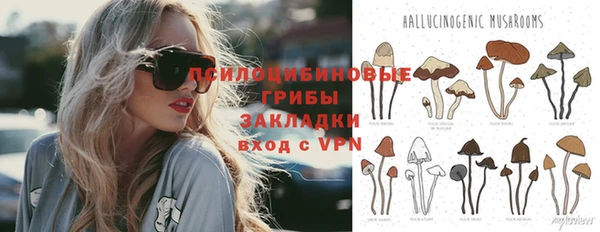 гидропоника Беломорск