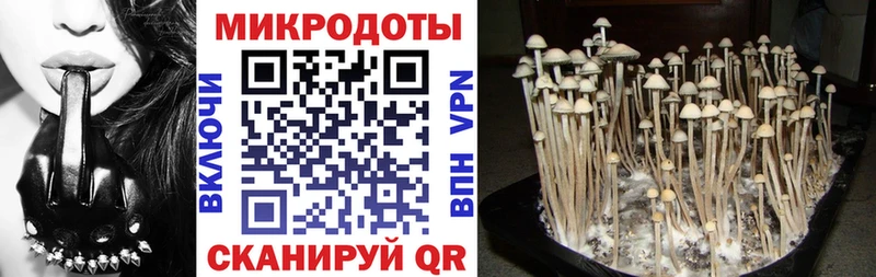 Галлюциногенные грибы мицелий  где можно купить наркотик  Кубинка 